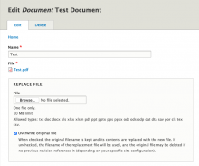Edit form for a document media entity showing the "replace file" form widget