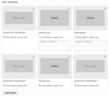entity_reference_media
