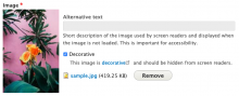 screenshot of image widget form with the new "decorative" checkbox checked
