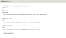 CAS Fields Client configuration page