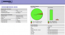 Memcache Status report