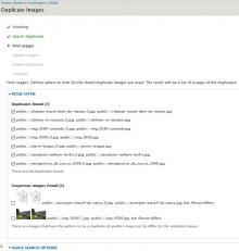 Duplicate images screenshot: duplicates found form