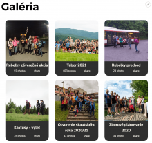 gallery usage example