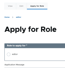 Apply for form preview