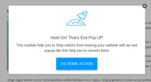 Exit Pop Up banner 