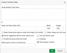 Youtube Plugin