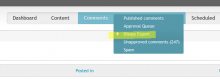 Export comments task