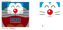 Custom Form Crop Image