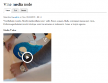 Media Vine example