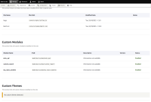 Custom Report