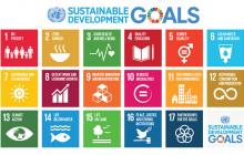 UN Sustainable Development Goals icons