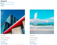 Media Entity Unsplash Search Page