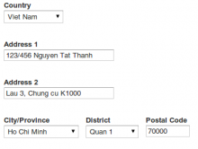 Viet Nam Address form