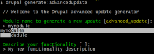 Advanced Update - Drupal console command