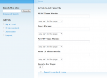 Apache solr advanced search page