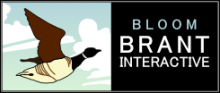 Brant-Interactive, LLC