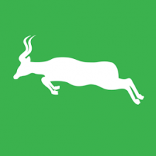 bongo logo