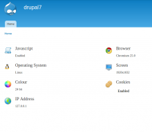 Browser Details