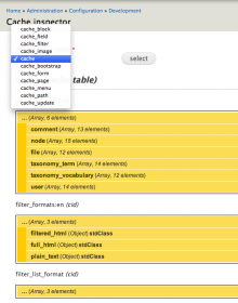 Cache inspector in action