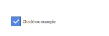 Custom Checkboxes