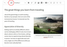 CKEditor 5 select all