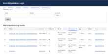 List of batch operations log entities showing what ran, what executed it, who ran it, when it ran, and whether it completed