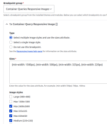 Configure a Container Querie Responsive Image Style