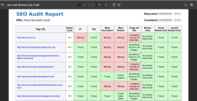 seo_audit-crawl-results-pdf-preview