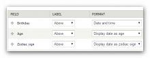 Screen capture of date field format settings for age and zodiac sign