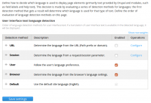 Domain language detection and selection