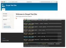 Drupal VM Screenshot