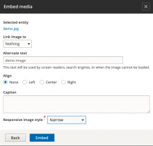 Embed Media Modal