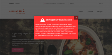 Emergency Notification - popup - demo 