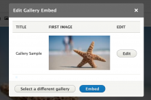 entity embed extras
