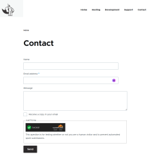 Image of a contact form