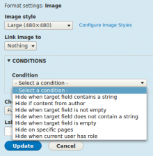 Field Formatter Condition