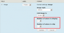 Screenshot of additional field formatter settings. Number of values to display, number of values to skip.