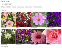 Filebrowser grid view