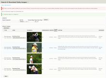 Getty Image Search and Download