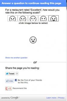 An image of what a Google Survey looks like on your page.