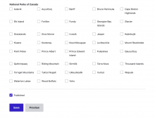 Display of field with Options Grid widget