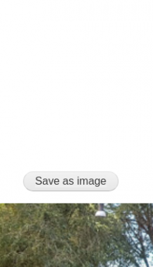 GTE saves element as image
