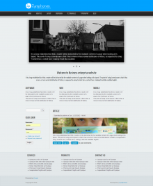 Business Enterprises Theme