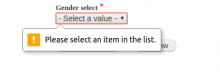 Select Field HTML 5 Validation