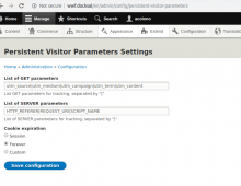 Persistent Visitor Parameters settings