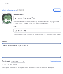 Screenshot of Image Field Caption integration in the image widget
