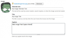 Screenshot of Image Field Caption for Drupal