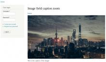 Image field caption zoom with zoom not applied