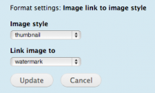 Image formatter link to image style