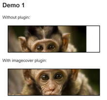 Example of imagecover scaling and cropping an image to fill and center on a div.